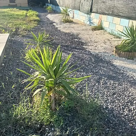 Mirko Apartment Vaccarizzo-Delfino